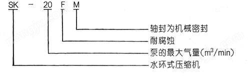 水環(huán)式真空泵及壓縮機
