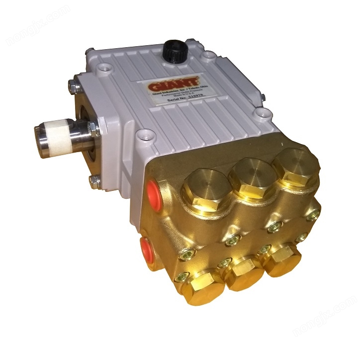 GIANT    P220 .jpg