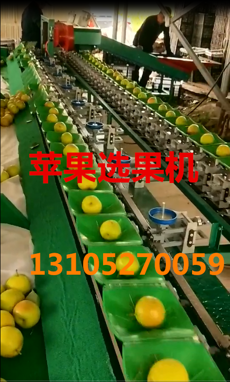 苹果选果机