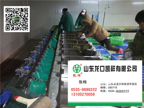 广西火龙果选果机
