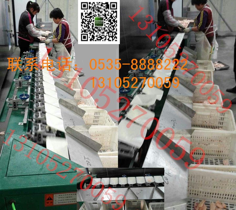 鸡翅中筛选机昌邑地区使用状况