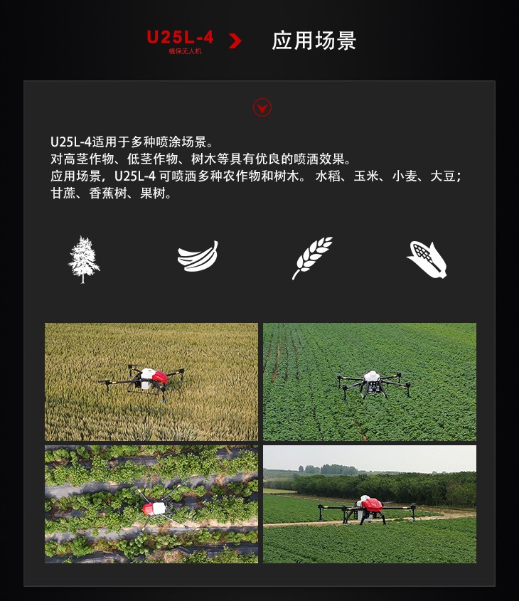 4 U25L-4.jpg